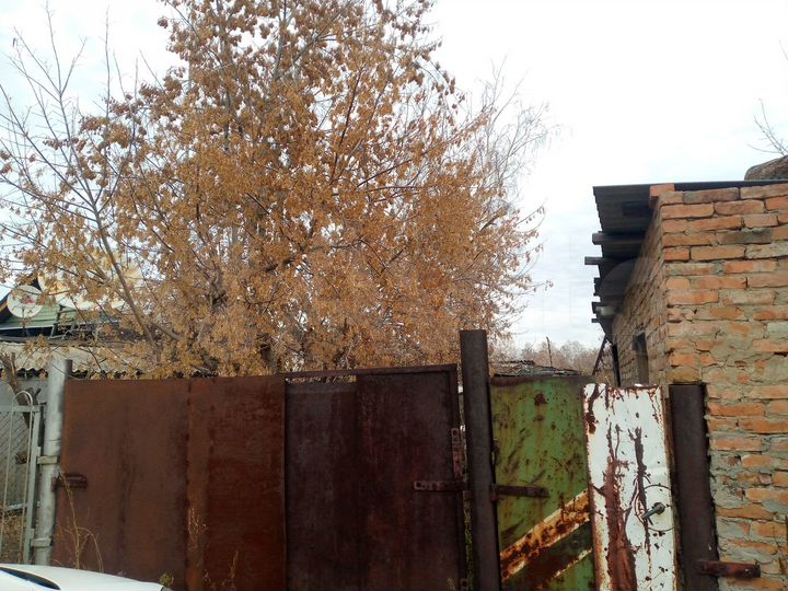 Дом 53 м² на участке 14 сот.