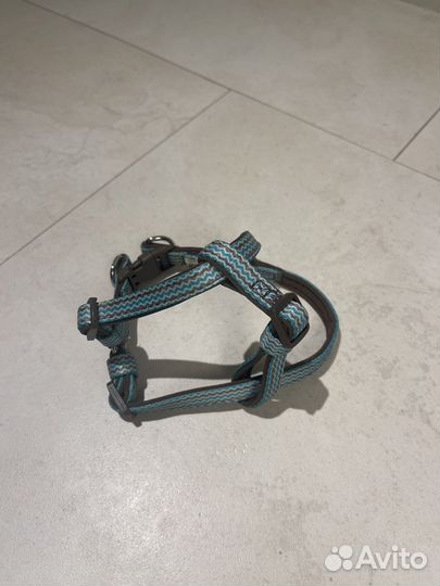 Шлейка XS Doog для мелких пород