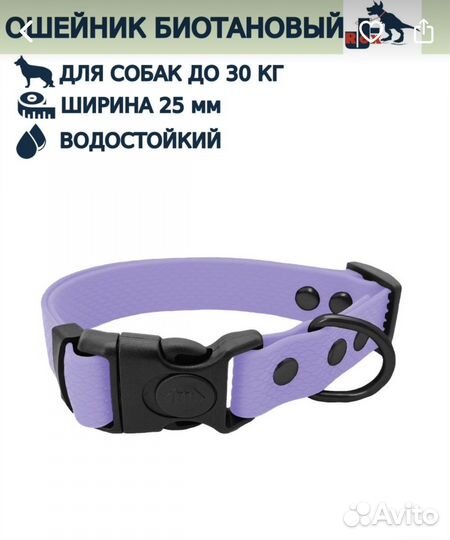 Ошейник из биотона