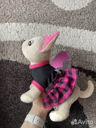 Собачка чичилав