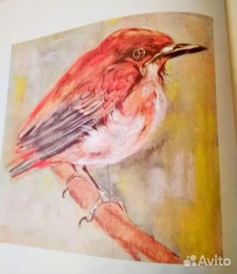 Подарочная книга MIT DEM nier AUF DU UND DU