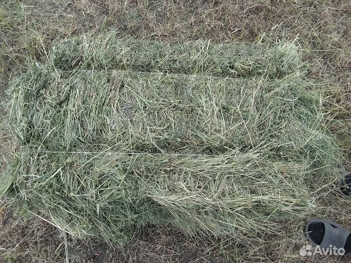 Сено в тюках. Разнотравие