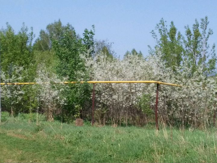 Участок 56 сот. (ИЖС)