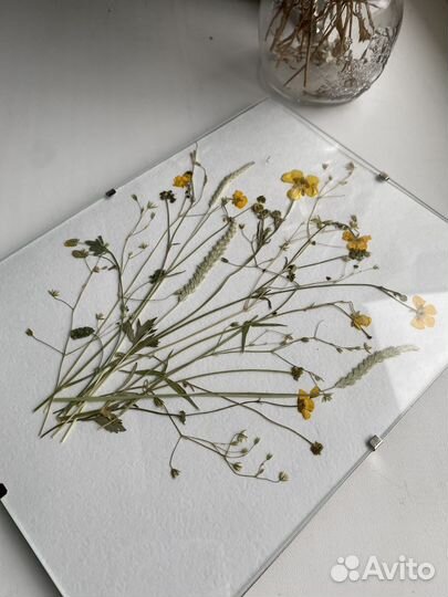 Картина из сухоцветов 
