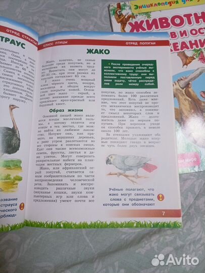 Детская энциклопедия