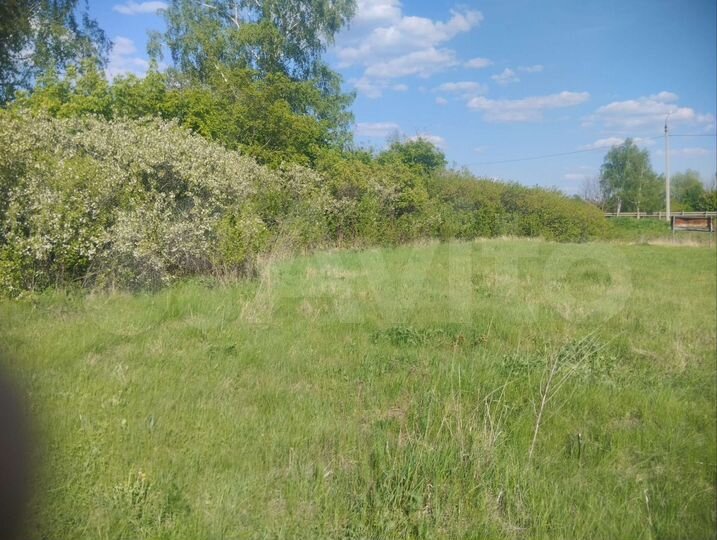 Участок 50 сот. (СНТ, ДНП)