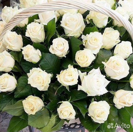 Высокие розы 150 160 170 180 190см доставка Москва