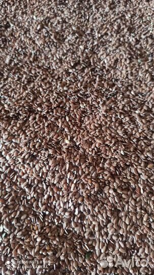 Лён семена льна