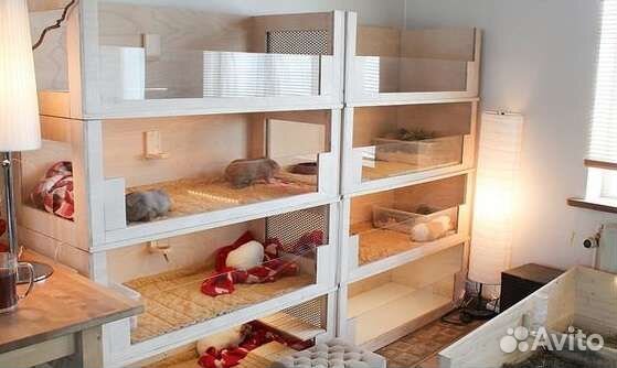 Стеллаж для морских свинок