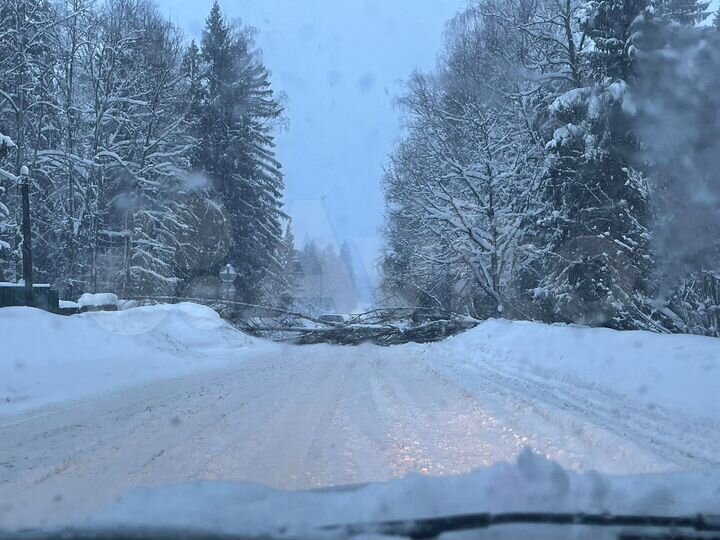 Участок 16 сот. (СНТ, ДНП)