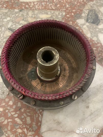 Геностартер муровей