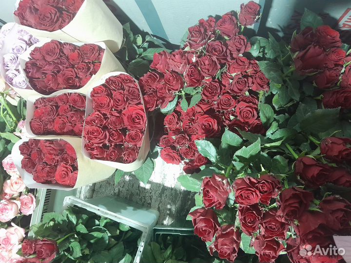 Роза оптом и в розницу,101роза-4000ру