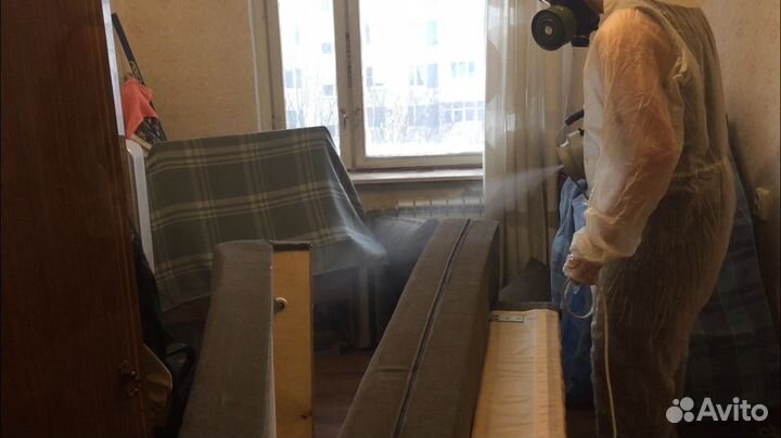 Уничтожение клопов,тараканов,плесени навсегда