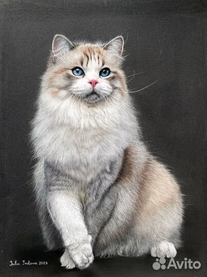 Портрет собаки или кошки на заказ