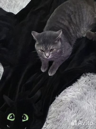 Пижама кигуруми