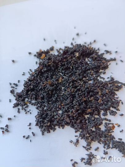 Огневка, пжвм