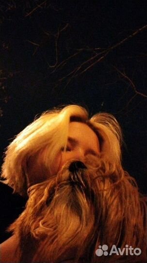 Написание сочинений и прочих письменных работ