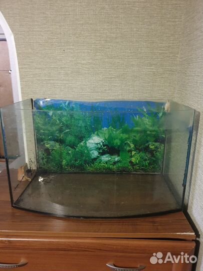 Аквариум