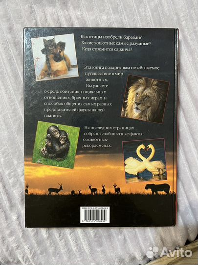 Книга Энциклопедия животных