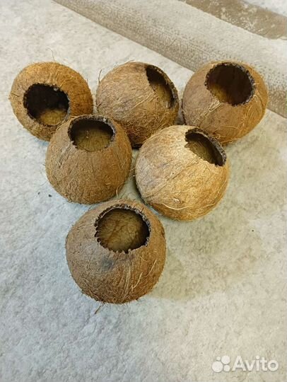 Кокос, домик для грызунов