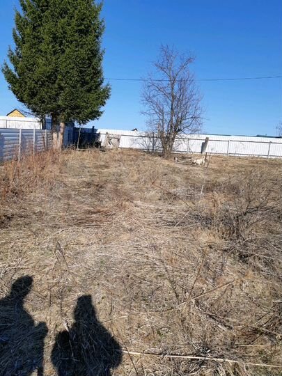 Участок 11 сот. (СНТ, ДНП)