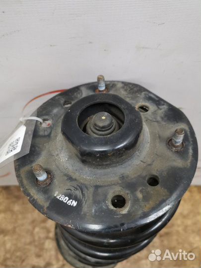 Стойка передняя левая Chevrolet Captiva C 140 2.2