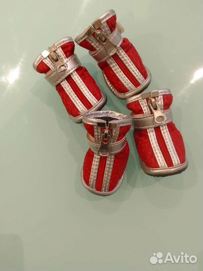 Ботинки для животных