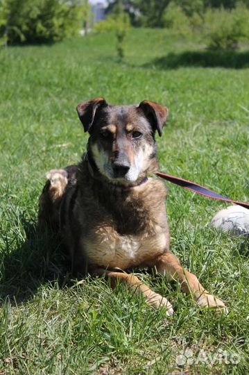 Она умрёт в приюте, так и не увидев другой жизни