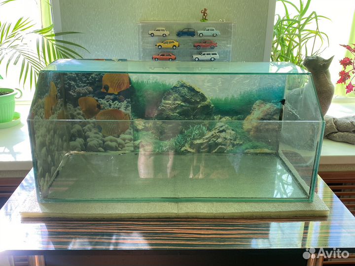 Террариум для черепахи