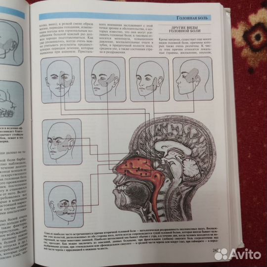 Большая медицинская энциклопедия