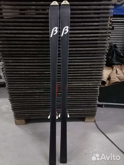 Горные лыжи