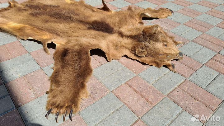 Шкура медведя (имитация)