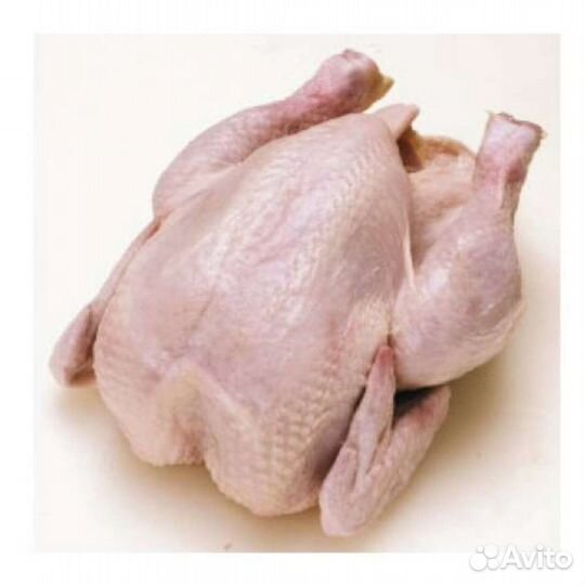 Мясо бройлера, утки