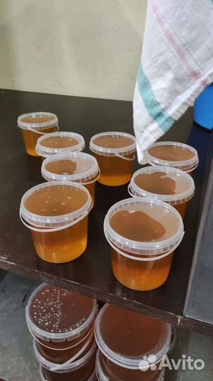 Мёд Липовый лето-2022 Башкирский