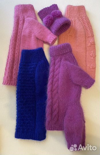 Одежда для животных