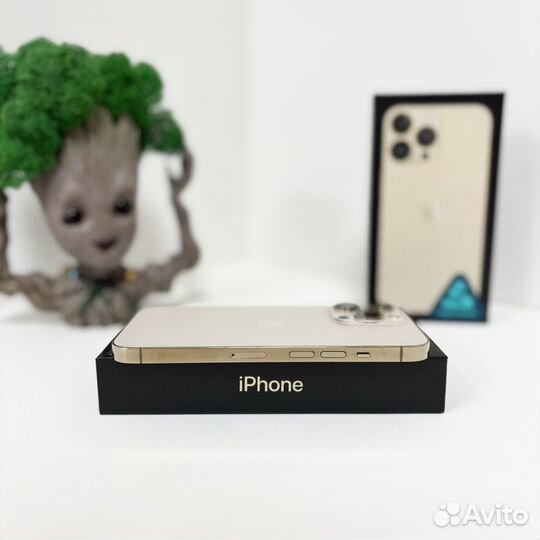 iPhone 13 Pro, 256 ГБ