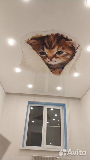 Натяжные потолки