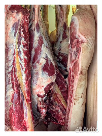 Свинина полутуши