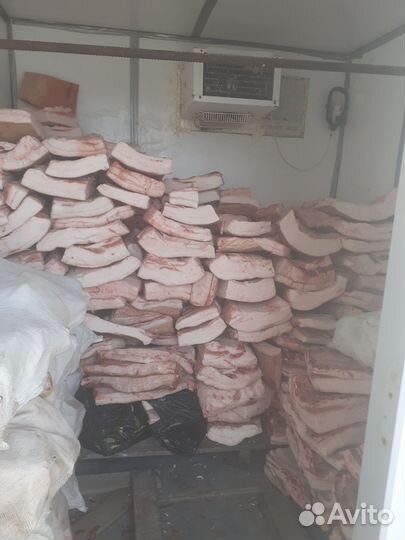 Сало на саление оптом продам