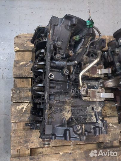 Блок цилиндров Opel Vivaro M9R 780, M9R 782, M9R 784, M9R 786, M9R 788 2 Дизель, 2008