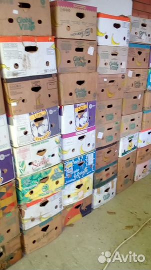 Банановые коробки