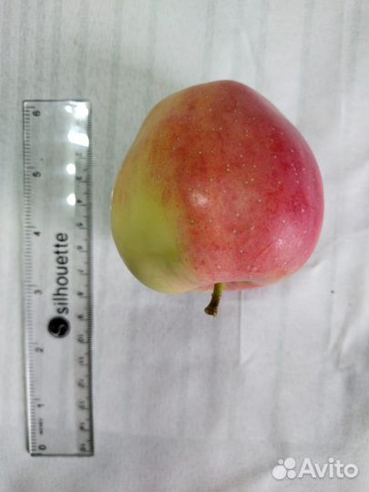 Продам яблоки опт, мелкий опт