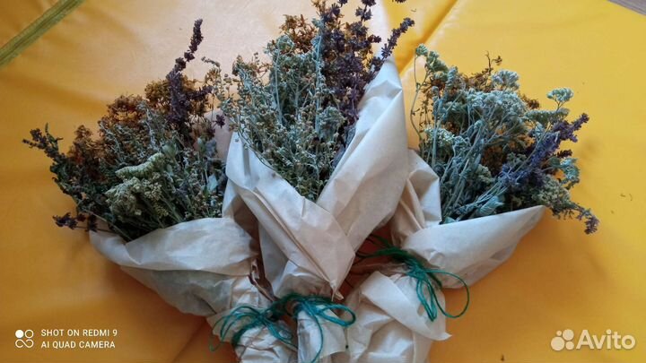 Женские парения-букет трав