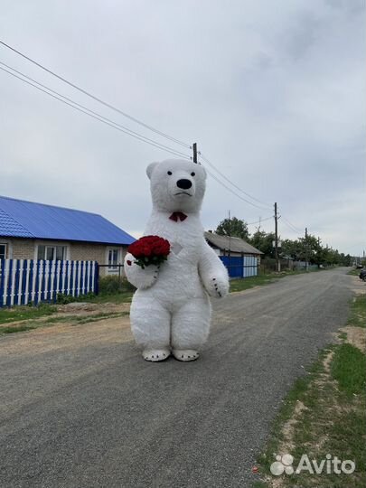 Белый мишка поздравление, Панда, медведь чебурашка