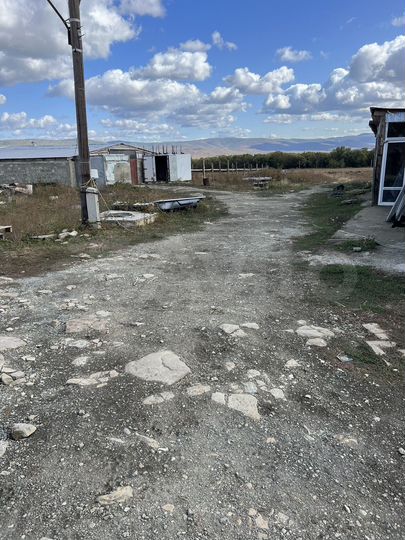 Участок 4,6 сот. (СНТ, ДНП)