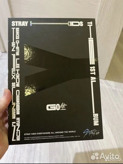 Лимитная версия альбома stray kids GO
