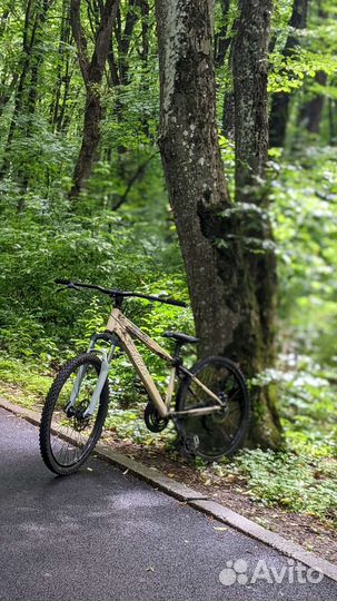 Рама Stark pusher 2