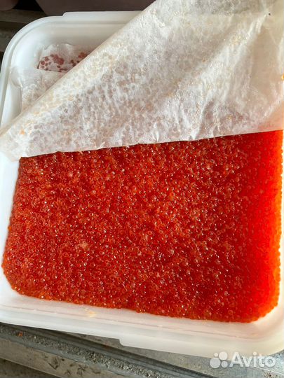 Красная икра оптом