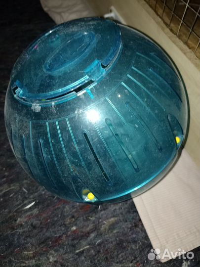 Прогулочный шар для грызунов