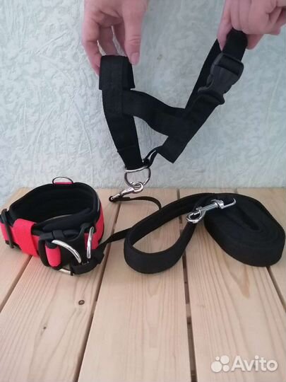 Поводки для собак
